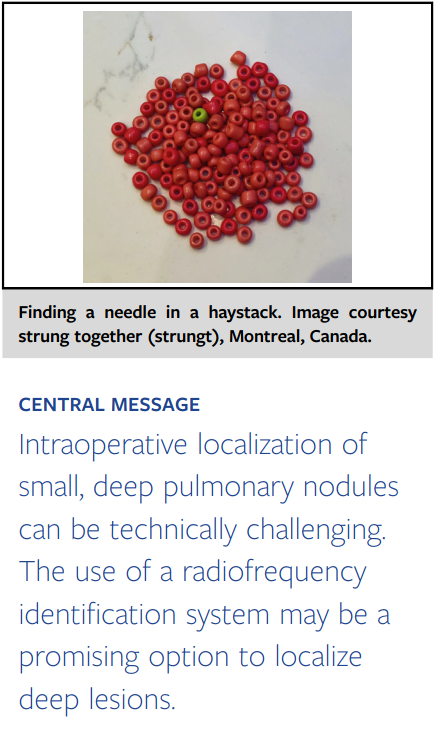 什么是数字肺膨胀肺／萎陷肺的真相：人工气胸下的支气管+肺实质数字模型与三维重建？_https://www.jmylbn.com_新闻资讯_第12张