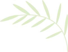 在商场沉浸式体验“公园20分钟效应”