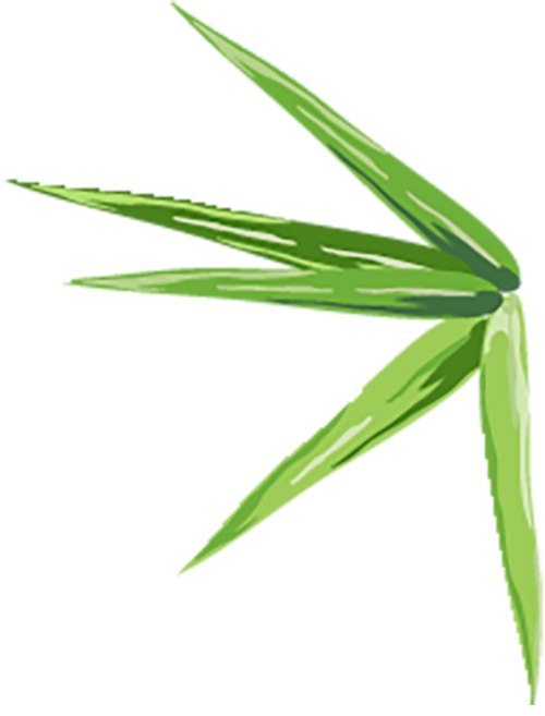 在商场沉浸式体验“公园20分钟效应”