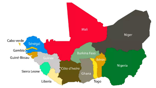 什么情况？刺猬紫檀也宣告将枯竭……