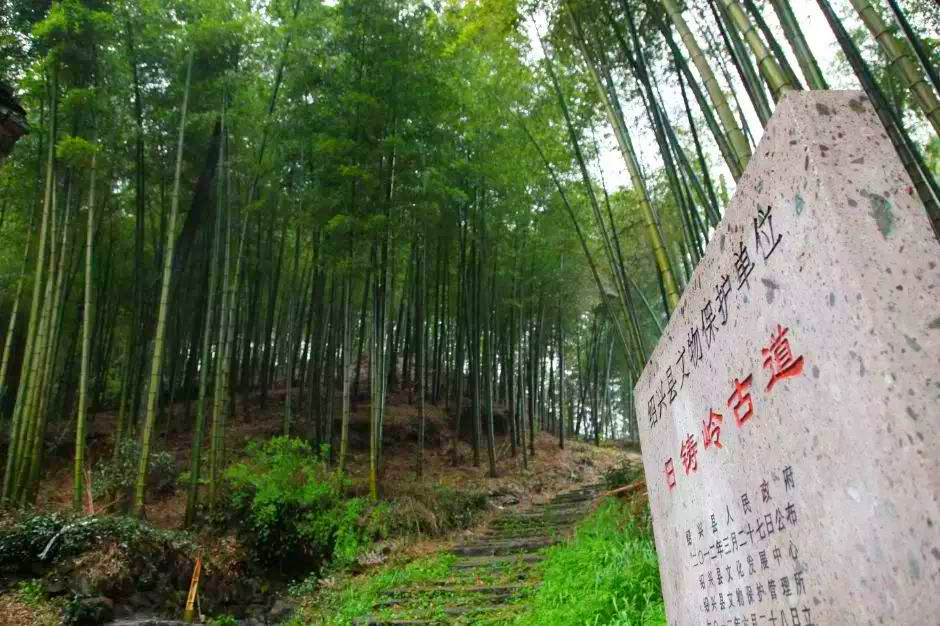 避开人从众浙江绍兴这几处绝美山野风光藏着无限风景