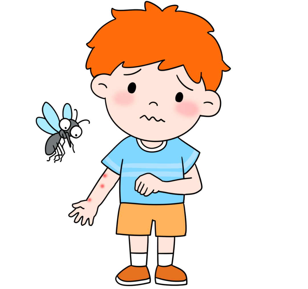 中国公民健康素养66条（2024年版）