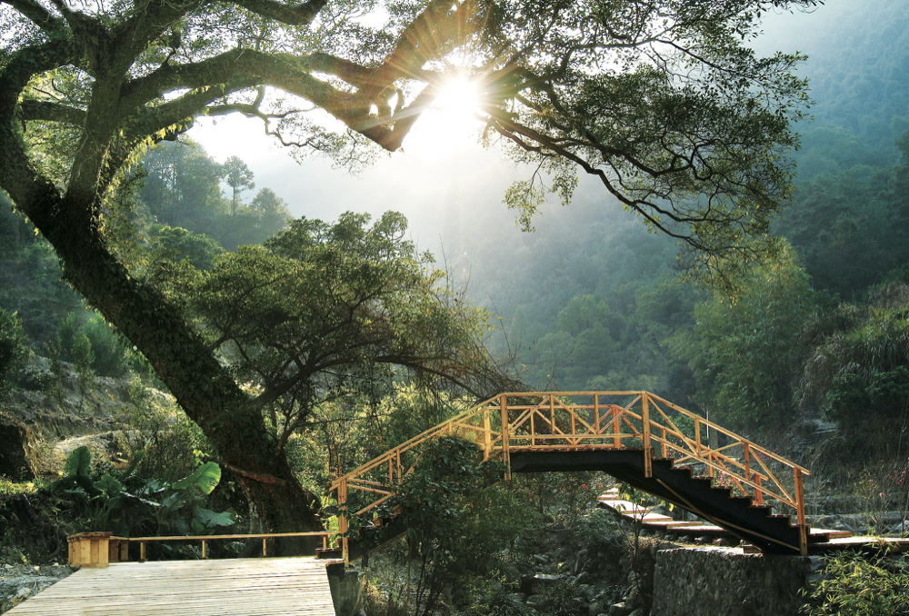 牛姆林生态旅游区图片图片