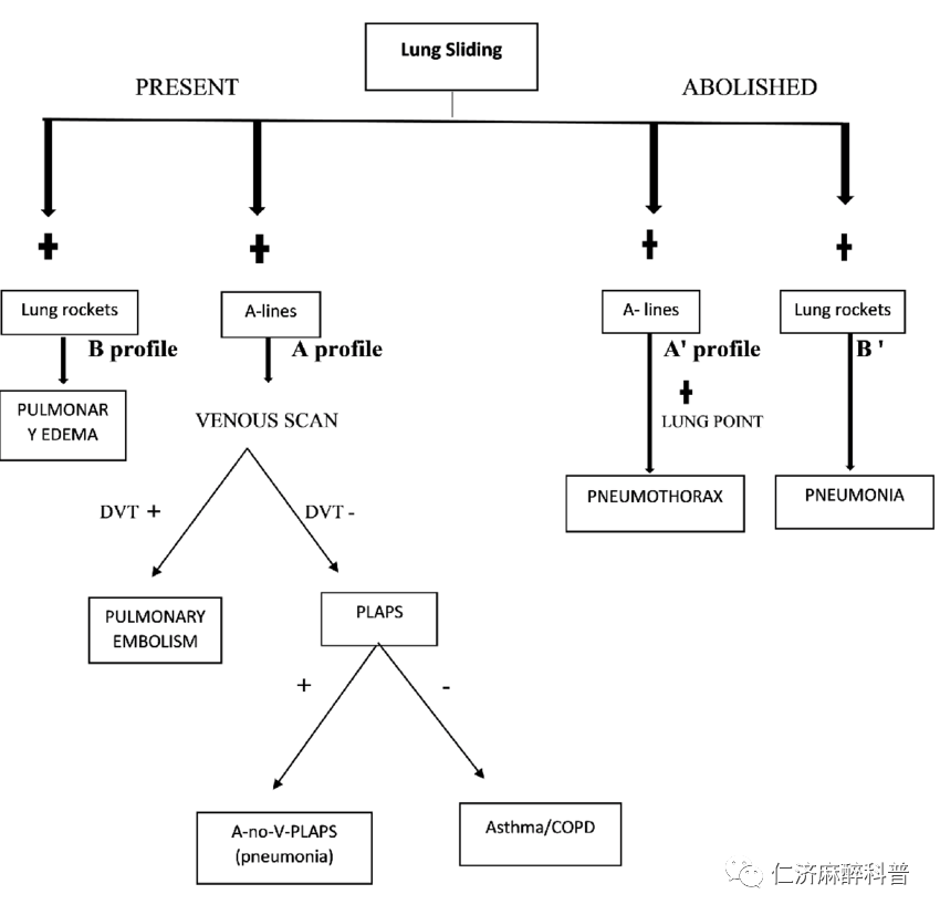 床旁x怎么使用床旁肺部超声检查_https://www.jmylbn.com_新闻资讯_第8张
