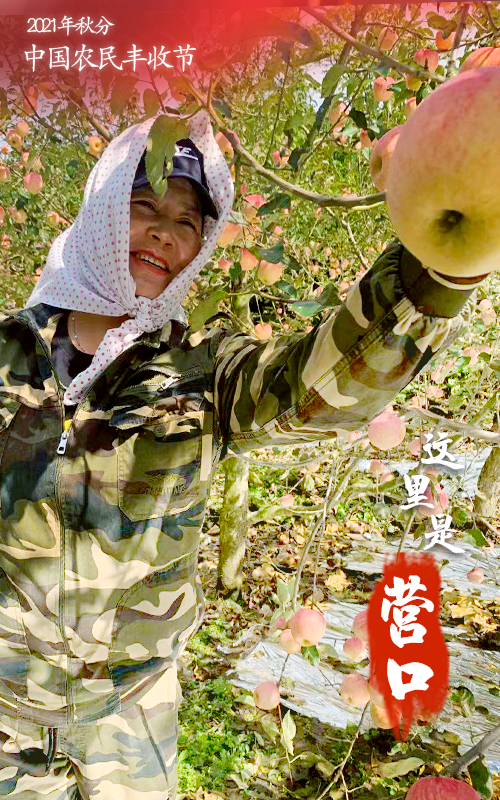 4.png 图片