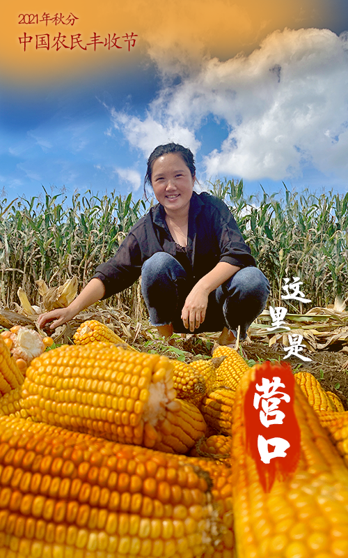 1.png 图片