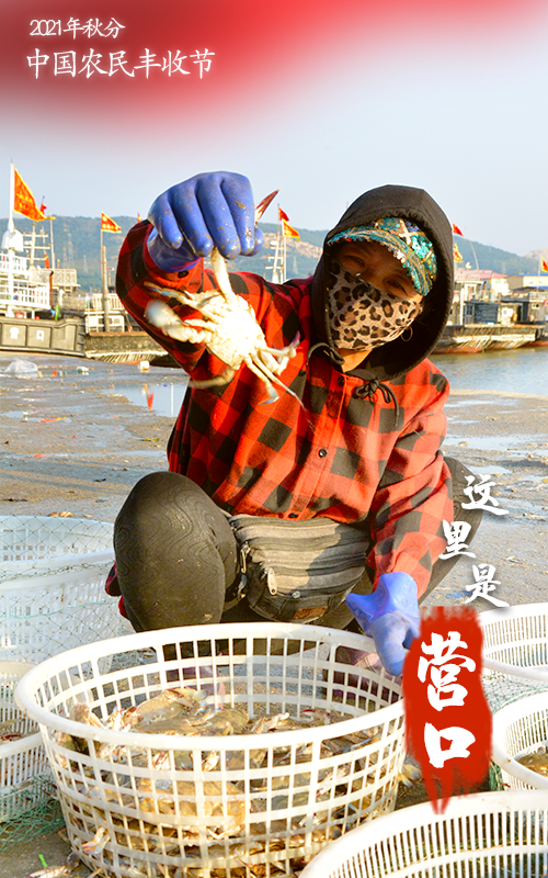 3.png 图片