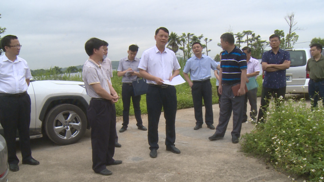 伍文压实责任抢抓进度加快推进我区星级酒店及配套商住项目建设