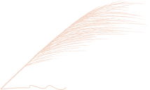 梵清 公告 胜诉判决 全网搜