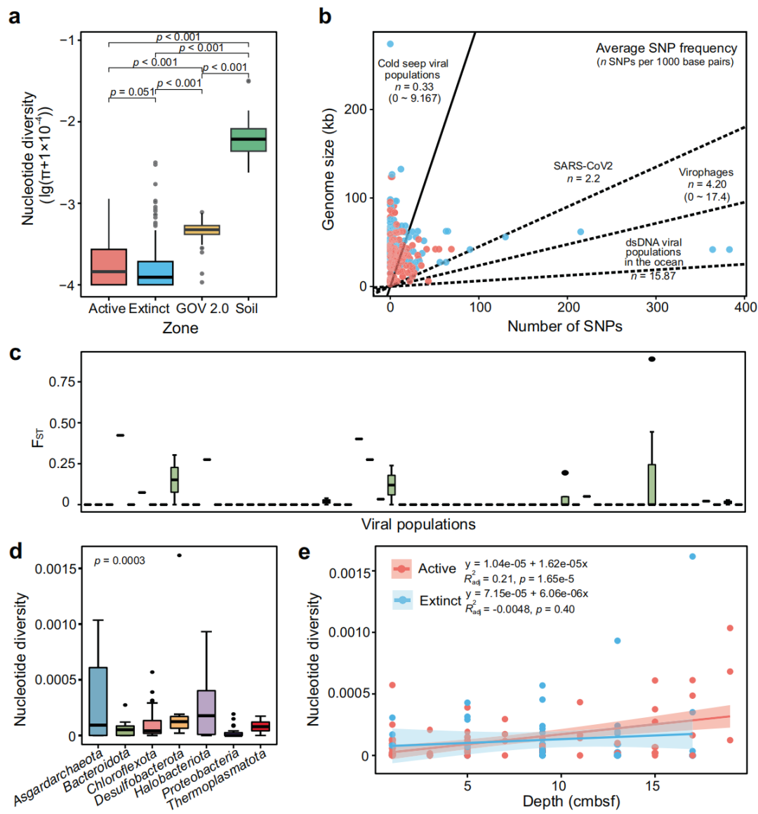 个性化分析内容更新原核生物抗病毒系统鉴定