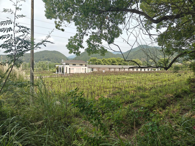 三圳镇九岭村研学劳作基地2025年开业、当年关门。