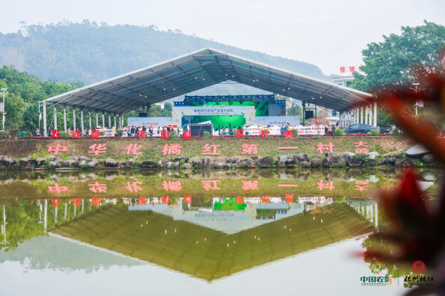 大岭村举办化橘红赏花节。（受访者供图）