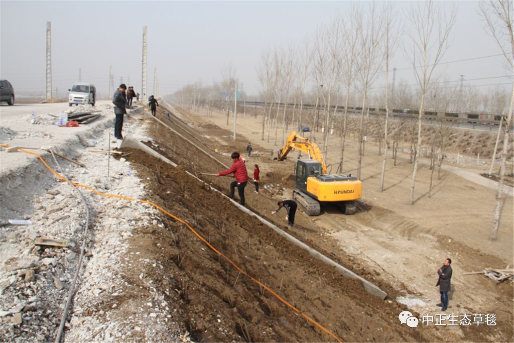 来看看，边坡防护新方法新工艺的图5