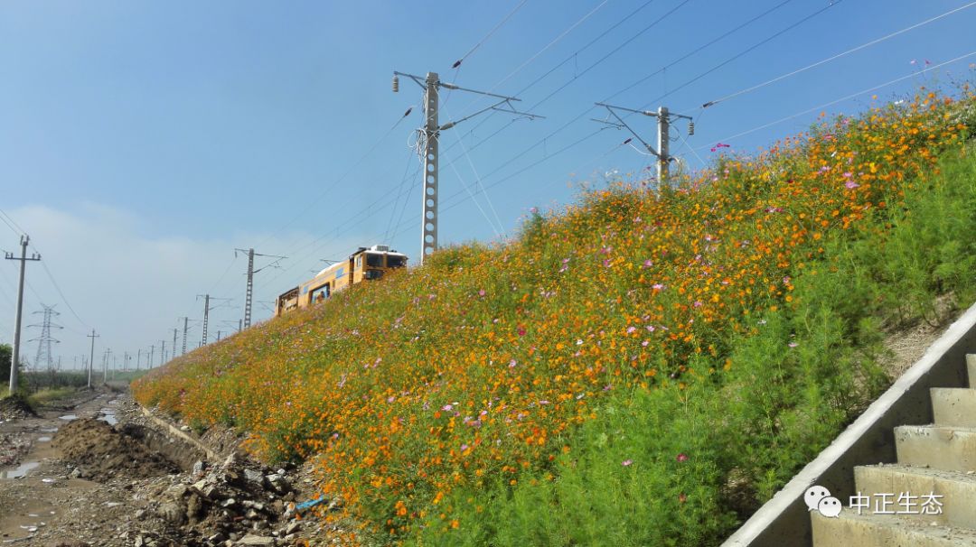 来看看，边坡防护新方法新工艺的图7