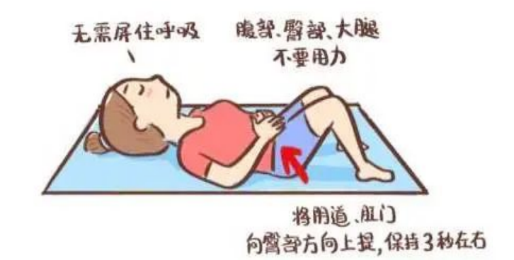 尿道张力过强怎么办【女性】经闭孔无张力尿道中段悬吊带术  让生活不再被尿失禁困扰_https://www.jmylbn.com_新闻资讯_第12张