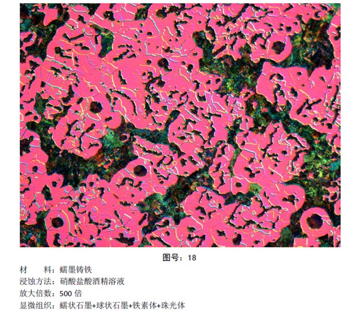 马氏体、奥氏体、珠光体，20种材料彩色金相！的图19
