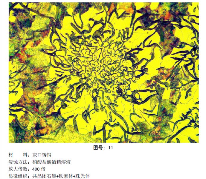马氏体、奥氏体、珠光体，20种材料彩色金相！的图12