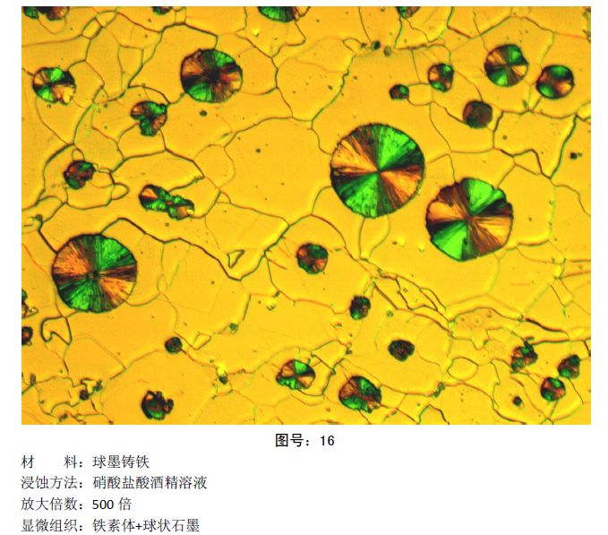 马氏体、奥氏体、珠光体，20种材料彩色金相！的图17