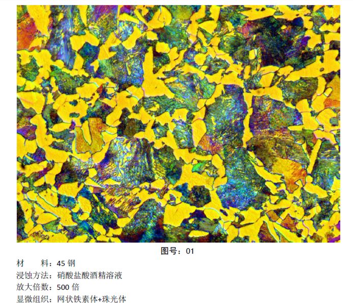 马氏体、奥氏体、珠光体，20种材料彩色金相！的图2