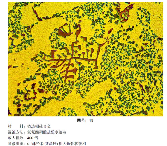 马氏体、奥氏体、珠光体，20种材料彩色金相！的图20