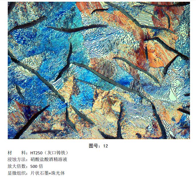 马氏体、奥氏体、珠光体，20种材料彩色金相！的图13