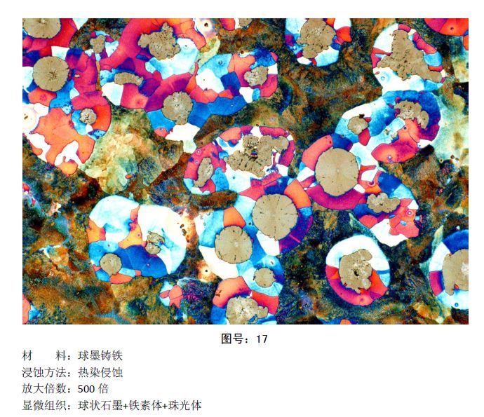马氏体、奥氏体、珠光体，20种材料彩色金相！的图18