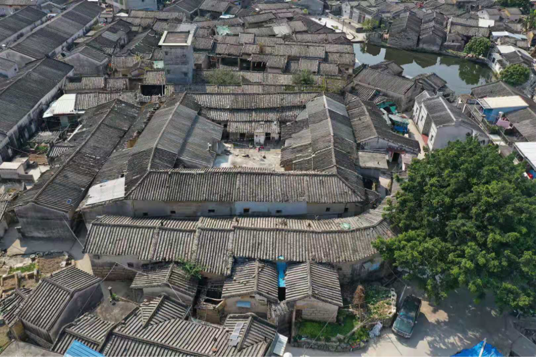揭阳市揭东区人民政府