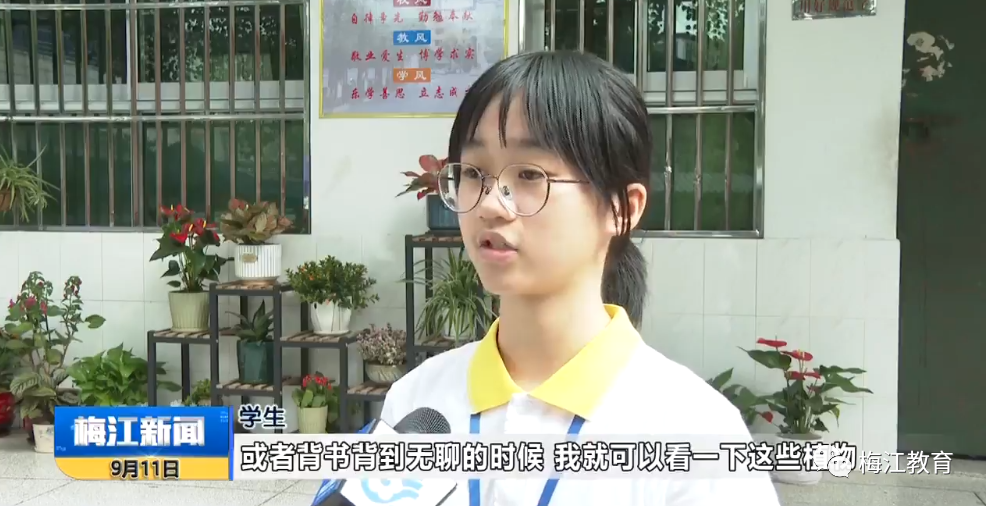 嘉应中学占地面积_嘉应中学多大_嘉应中学