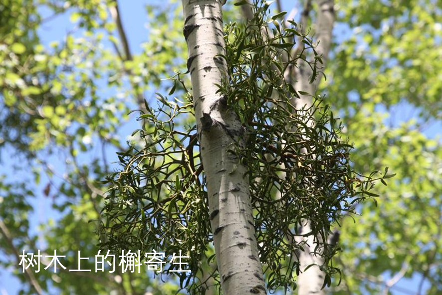 流體力學(xué)的“穩(wěn)定器”的圖2