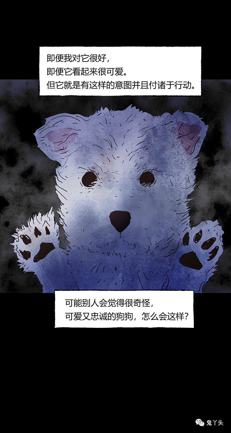 ͼƬ
