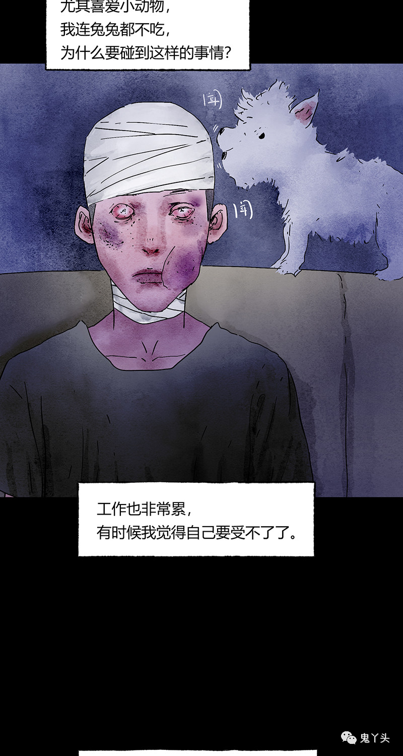 ͼƬ