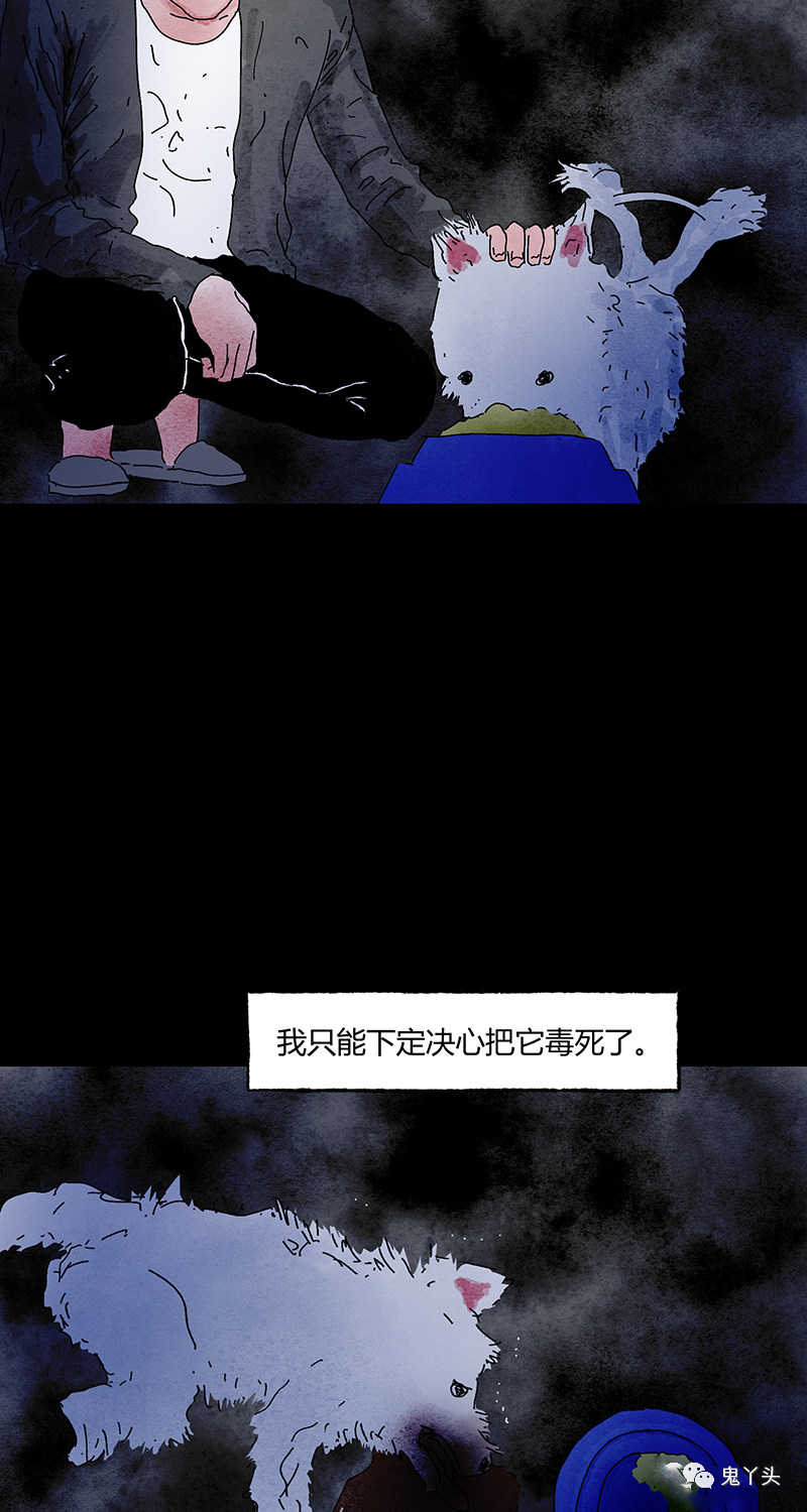 ͼƬ