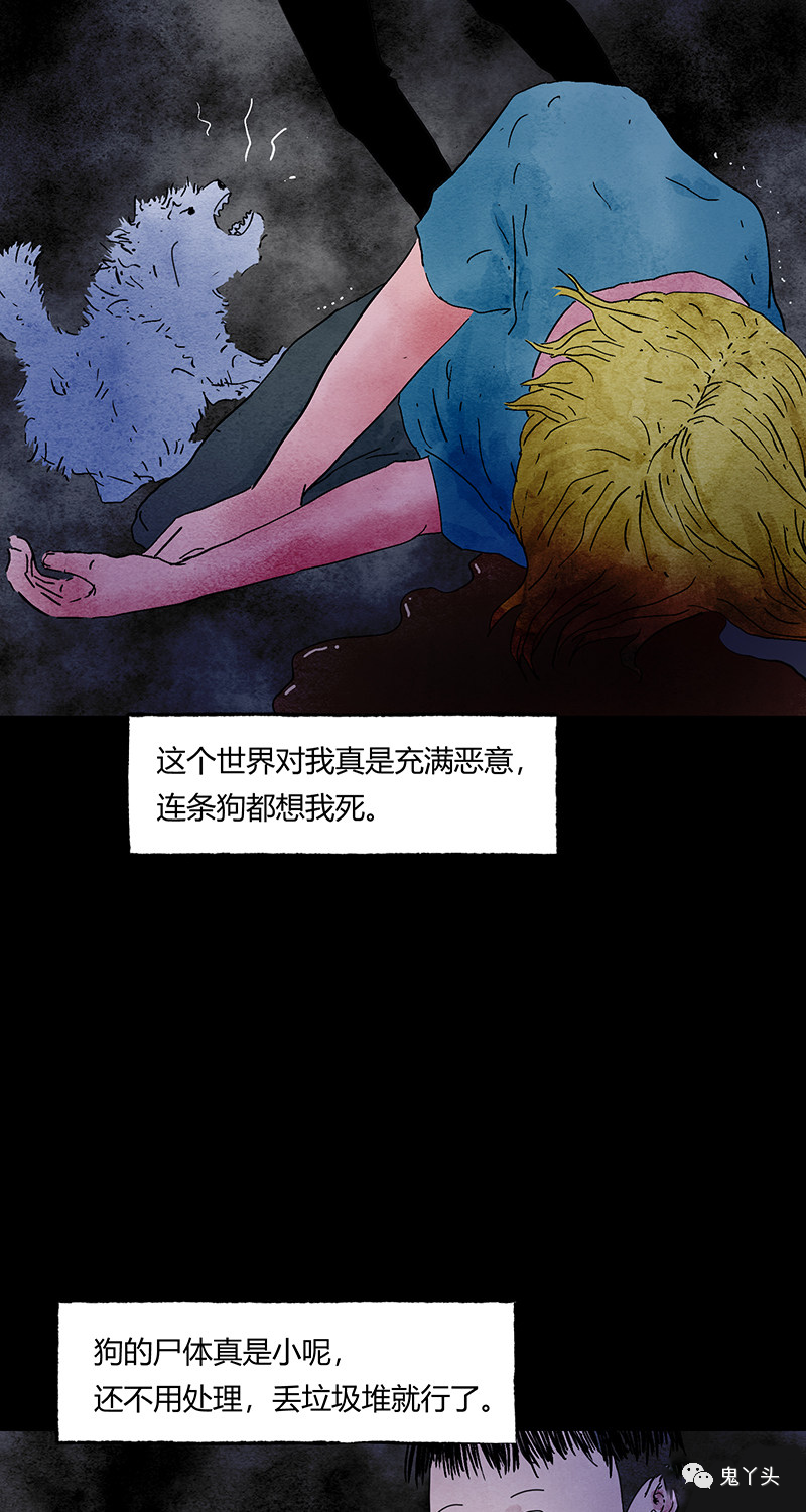 ͼƬ
