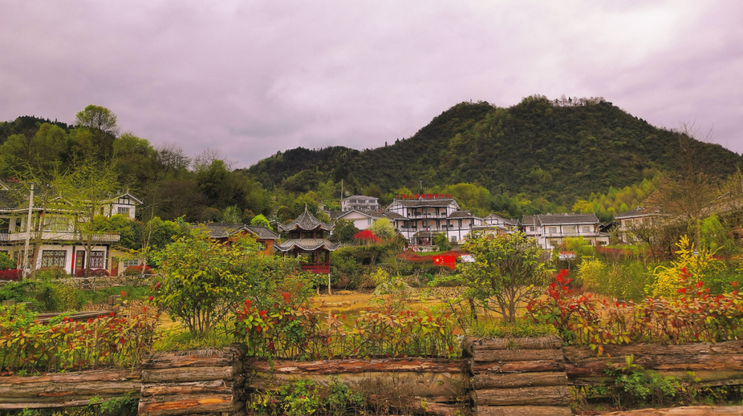 走一起去湄潭八角山共赏春光共享浪漫