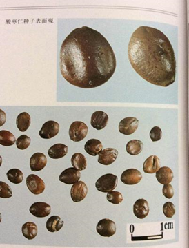 药材煲汤美味？且慢！这些最易混淆的药材要谨记！