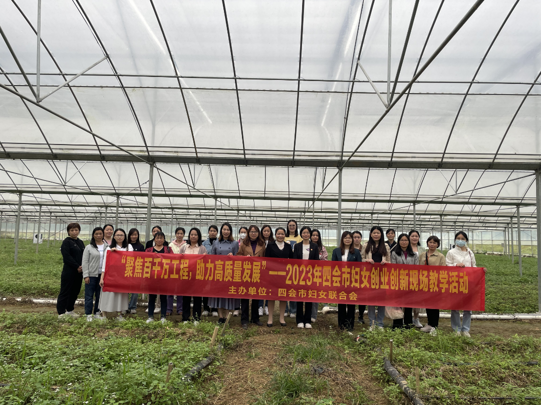 投资热门小额创业项目_有哪些小额创业项目_小额创业项目