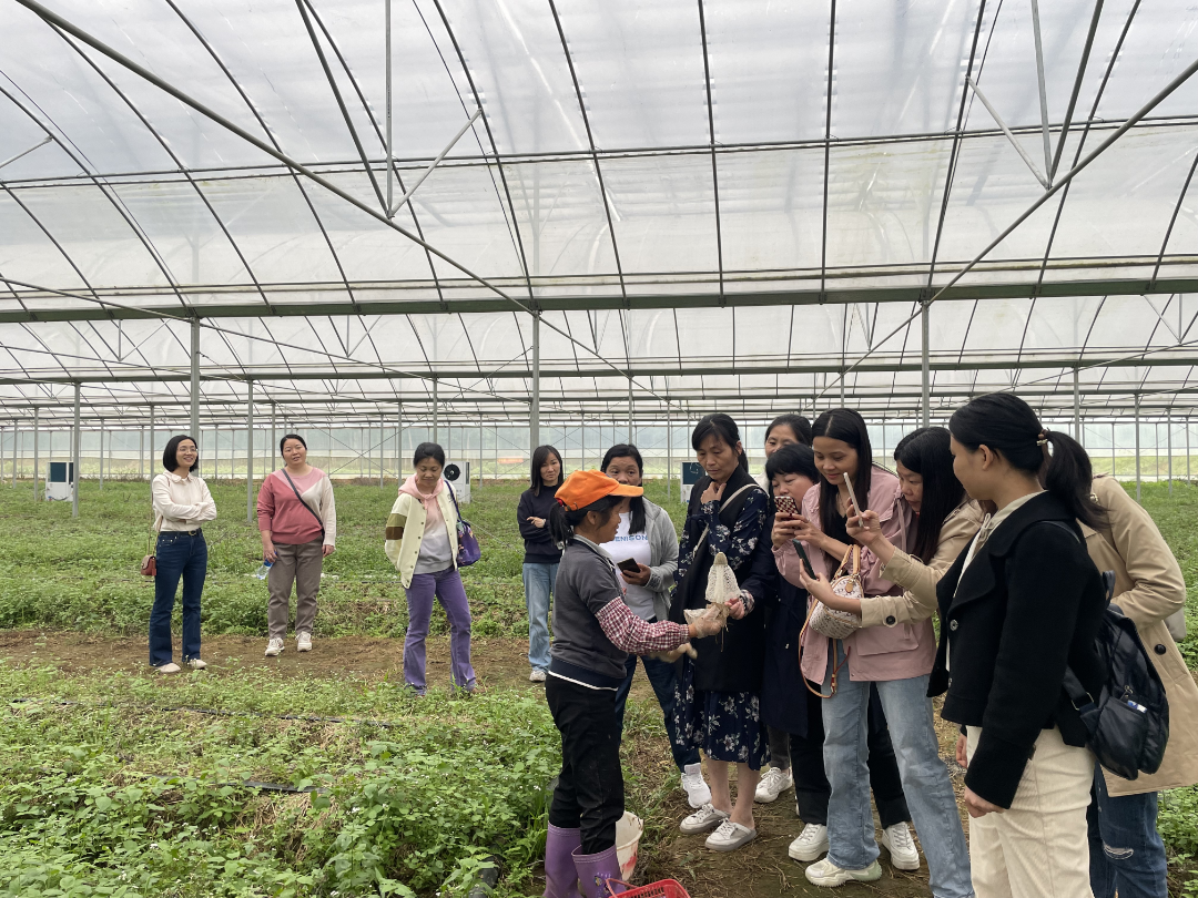 投资热门小额创业项目_小额创业项目_有哪些小额创业项目