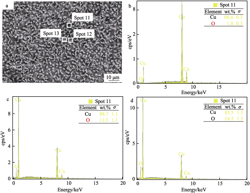 【腐蚀与防护】河南科技大学国秀花等：稀土Y对铜线材抗氧化行为的影响机理研究