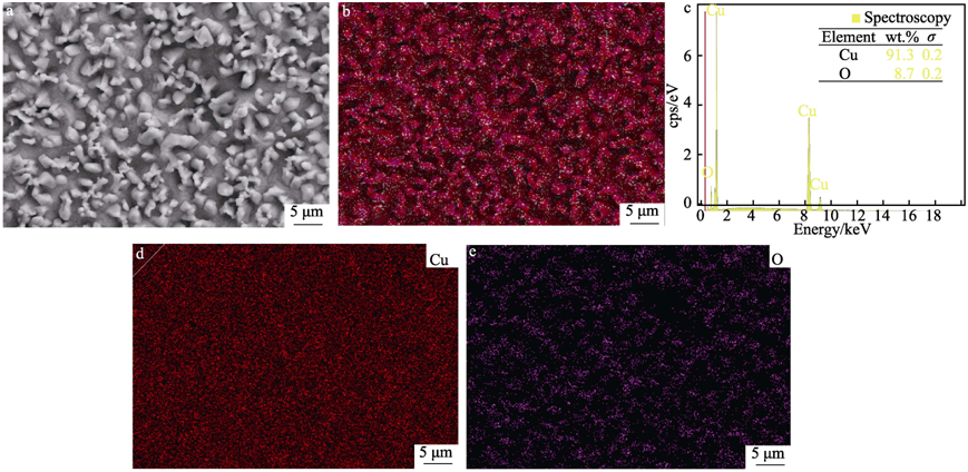 【腐蚀与防护】河南科技大学国秀花等：稀土Y对铜线材抗氧化行为的影响机理研究
