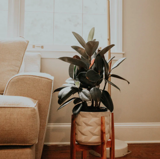 【协会新成员】欢迎深圳金盛融资租赁有限公司加入协会