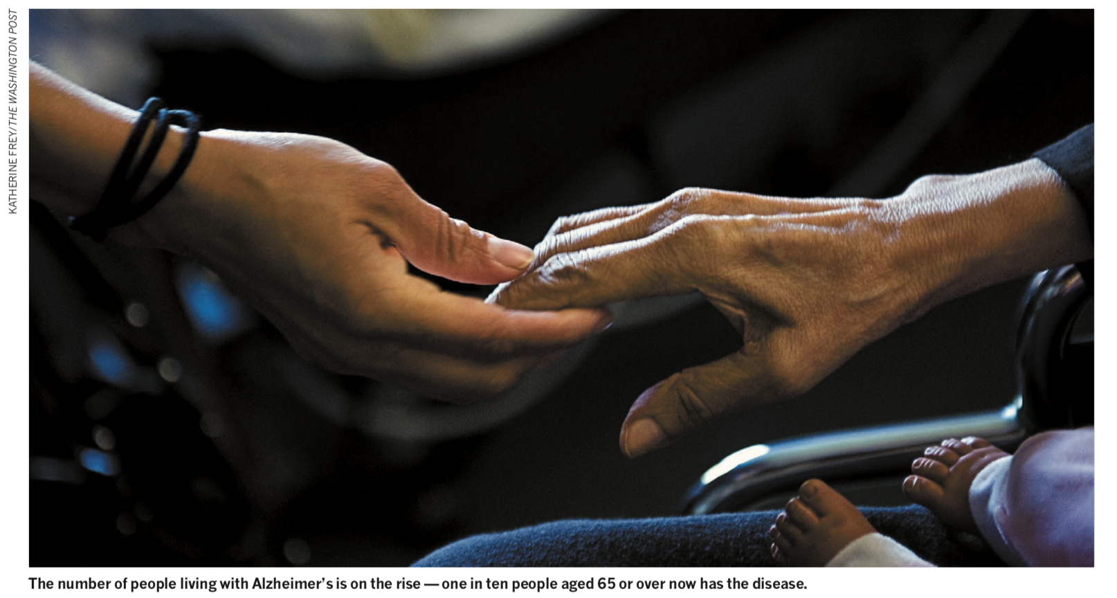 述评|在痴呆发生前进行干预：越早越好