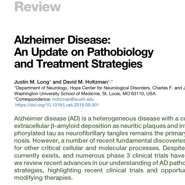 综述|AD的病理及治疗策略