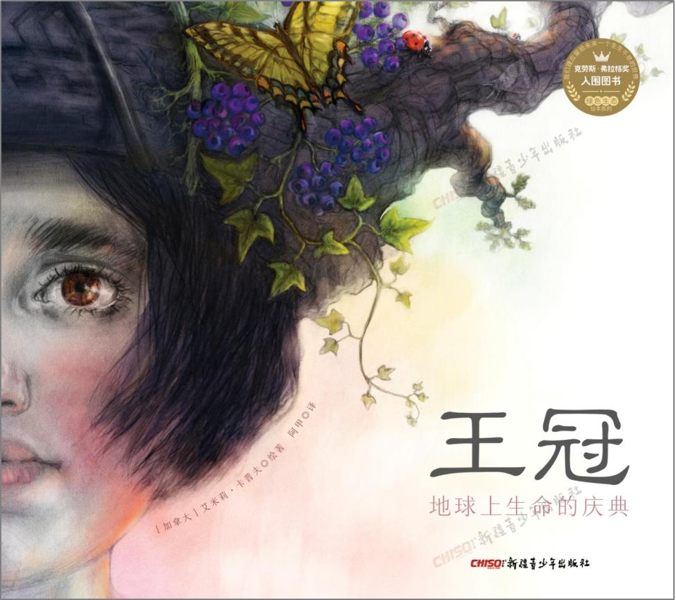 图片6