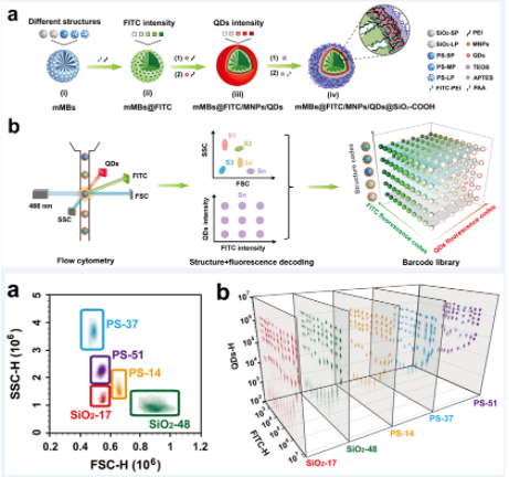 上海交大《Small》突破性进展：构建超高通量悬浮芯片的新策略！的图2