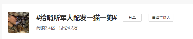 流浪貓每天陪武警訓練，超暖心，貓：你守護中國，我守護你！ 寵物 第12張