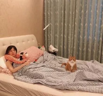 央视辟谣怀孕不能养宠物_央视辟谣怀孕不能养宠物原文_央视关于怀孕养宠物