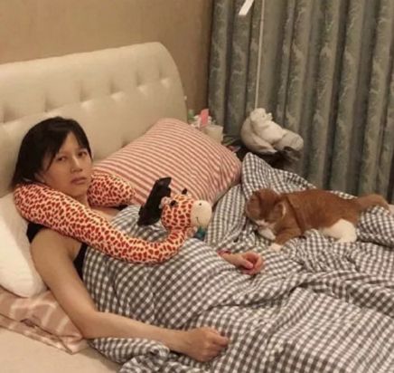 央视辟谣怀孕不能养宠物_央视辟谣怀孕不能养宠物原文_央视关于怀孕养宠物