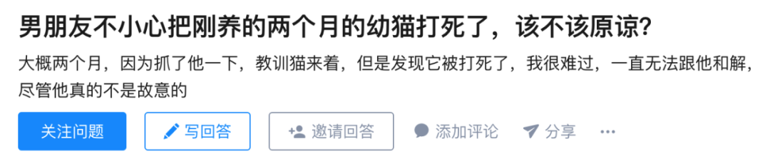 愛錯了人，你連自己的貓都保護不了。 寵物 第10張