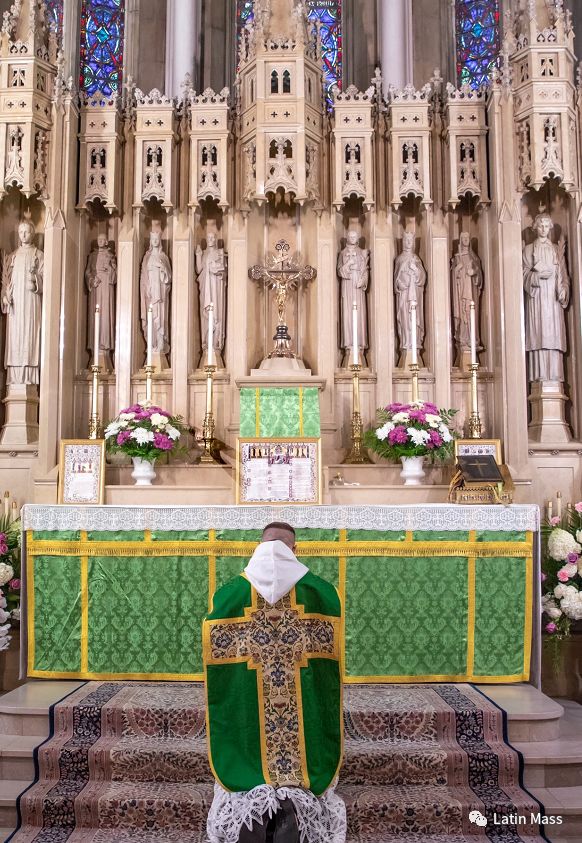 新铎首祭 美国加州加尔默罗会 Latin Mass 微信公众号文章阅读 Wemp