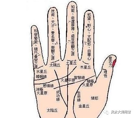 手相图解男 手相分析命运 风水大师阿甘 微信公众号文章阅读 Wemp